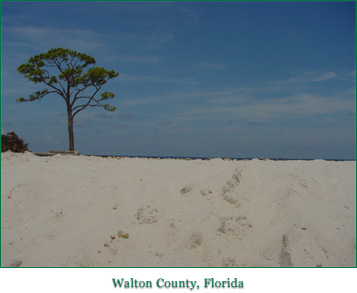 Walton County, Florida